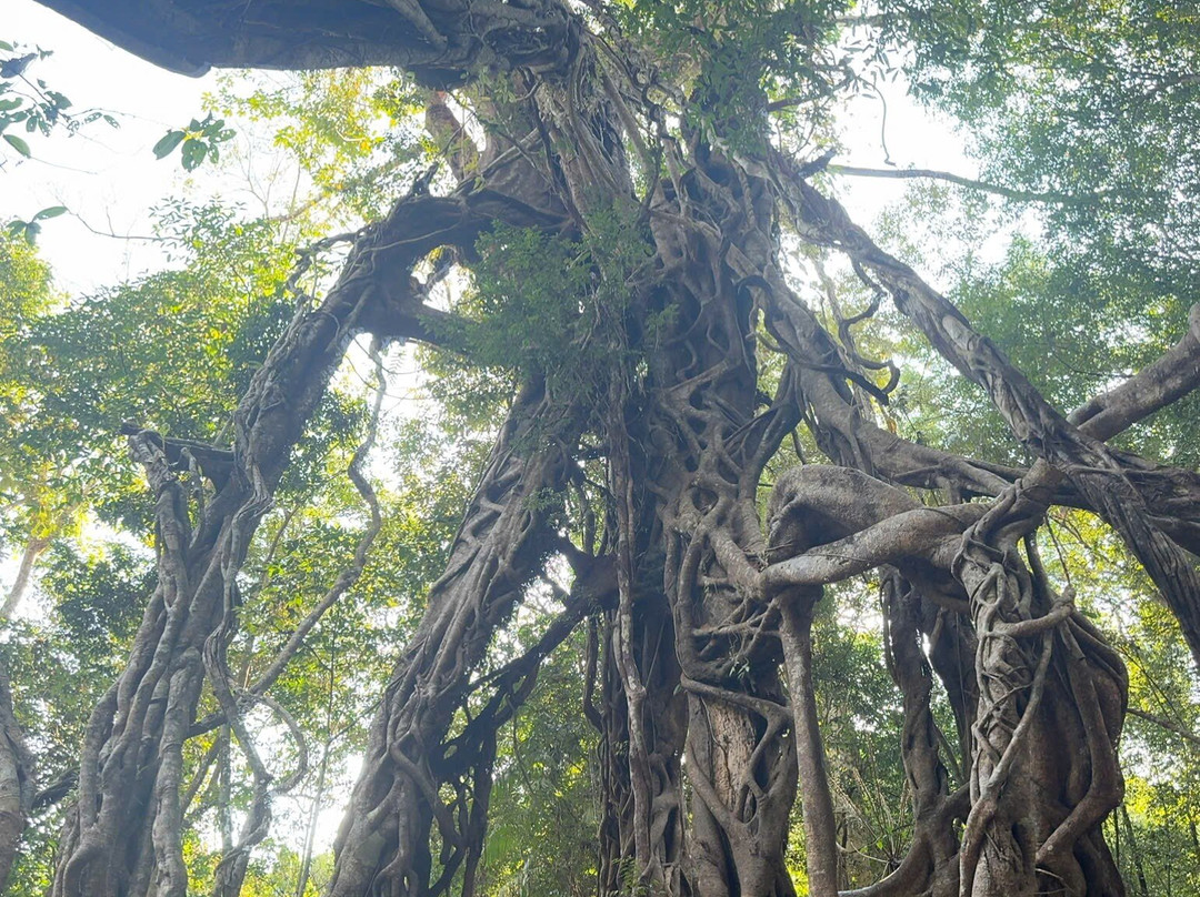 Thuy Tien Eco-Lodge主图