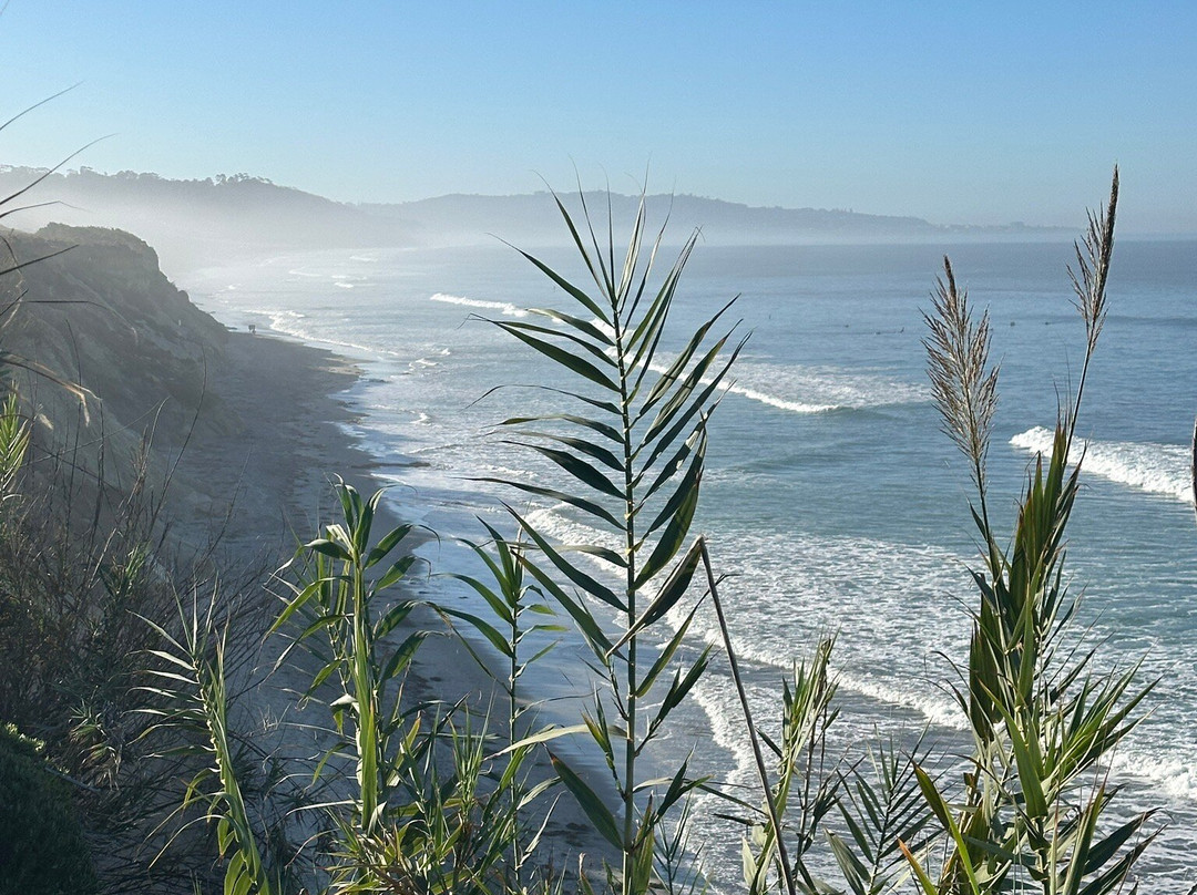 Les Artistes Inn主图