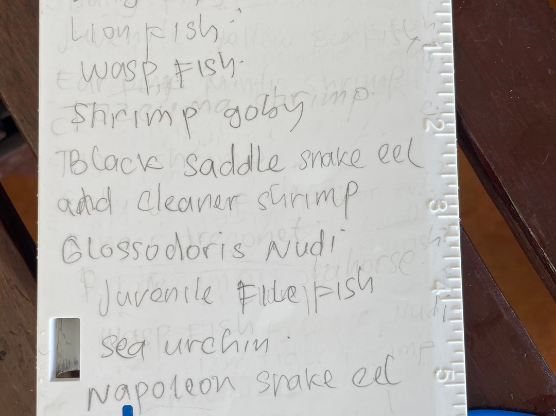 黑沙潜水疗养酒店主图