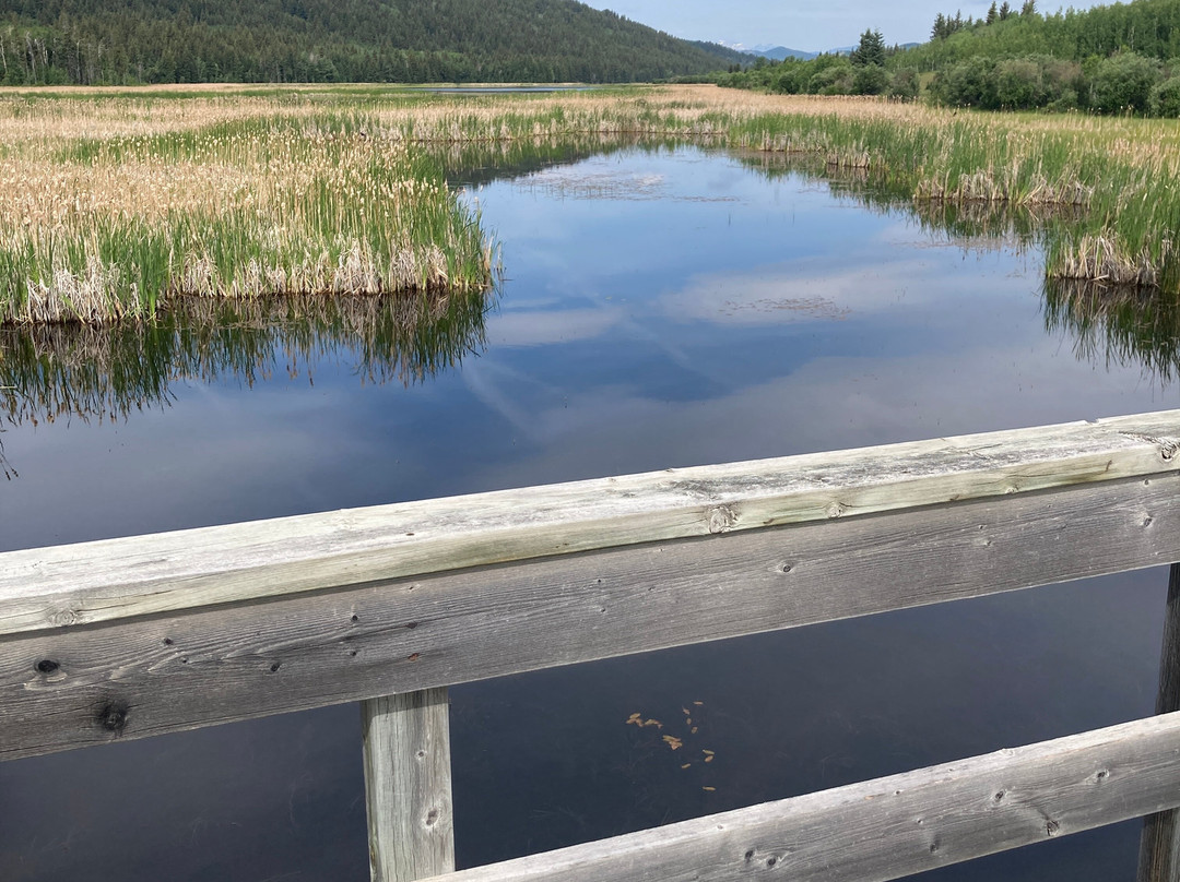Beauvais Lake Provincial Park-平雀溪镇必去景点