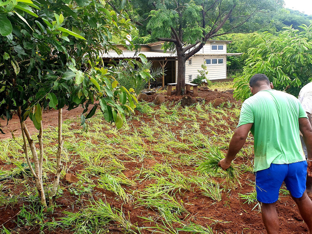 Terganic Farmstay-Bambous Virieux必去景点