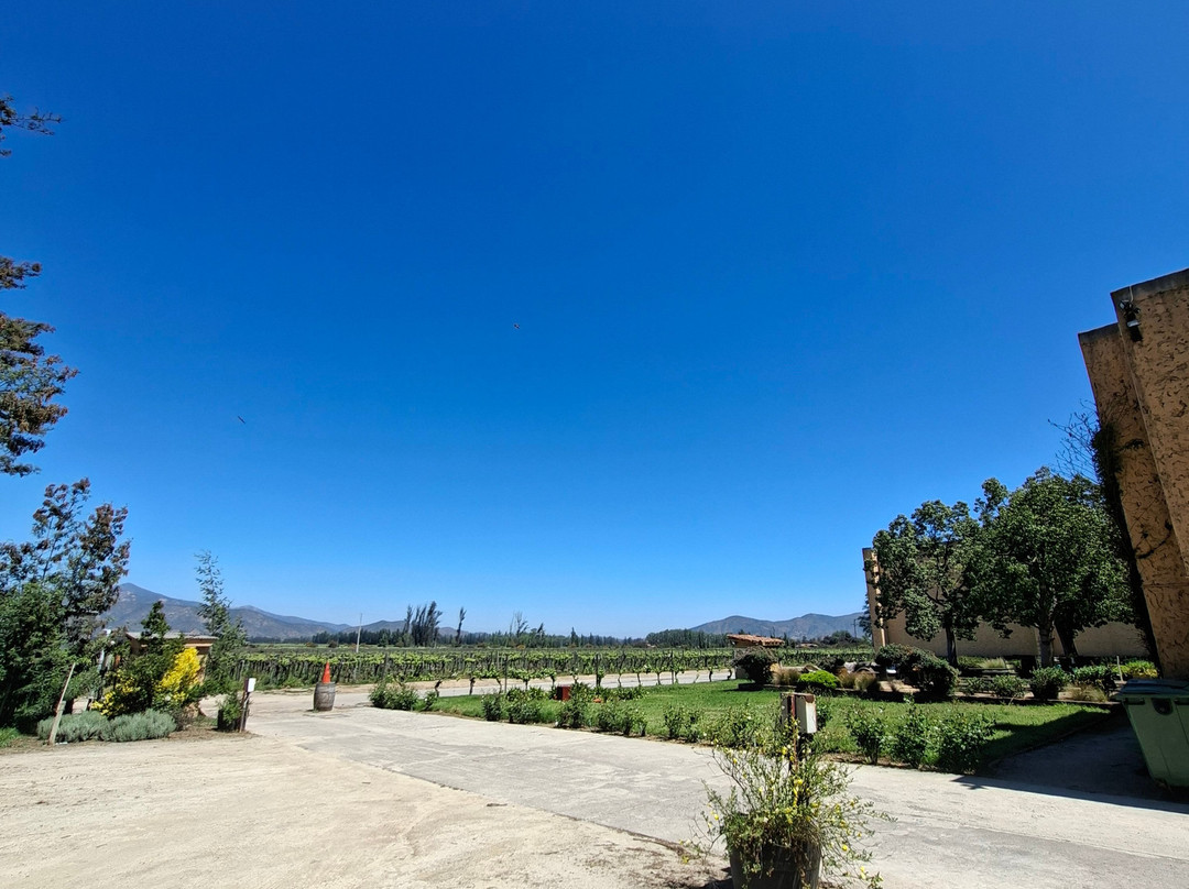 William Cole Vineyards-卡萨布兰卡必去景点