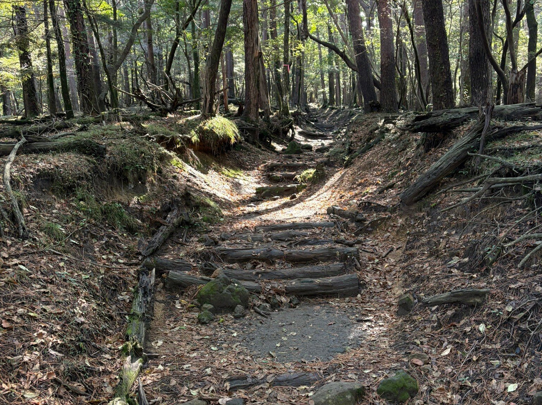 Mount Karakuni-虾野市必去景点