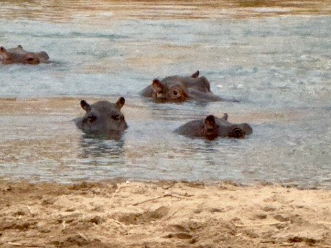 MyAfrica-霍德斯普鲁特必去景点