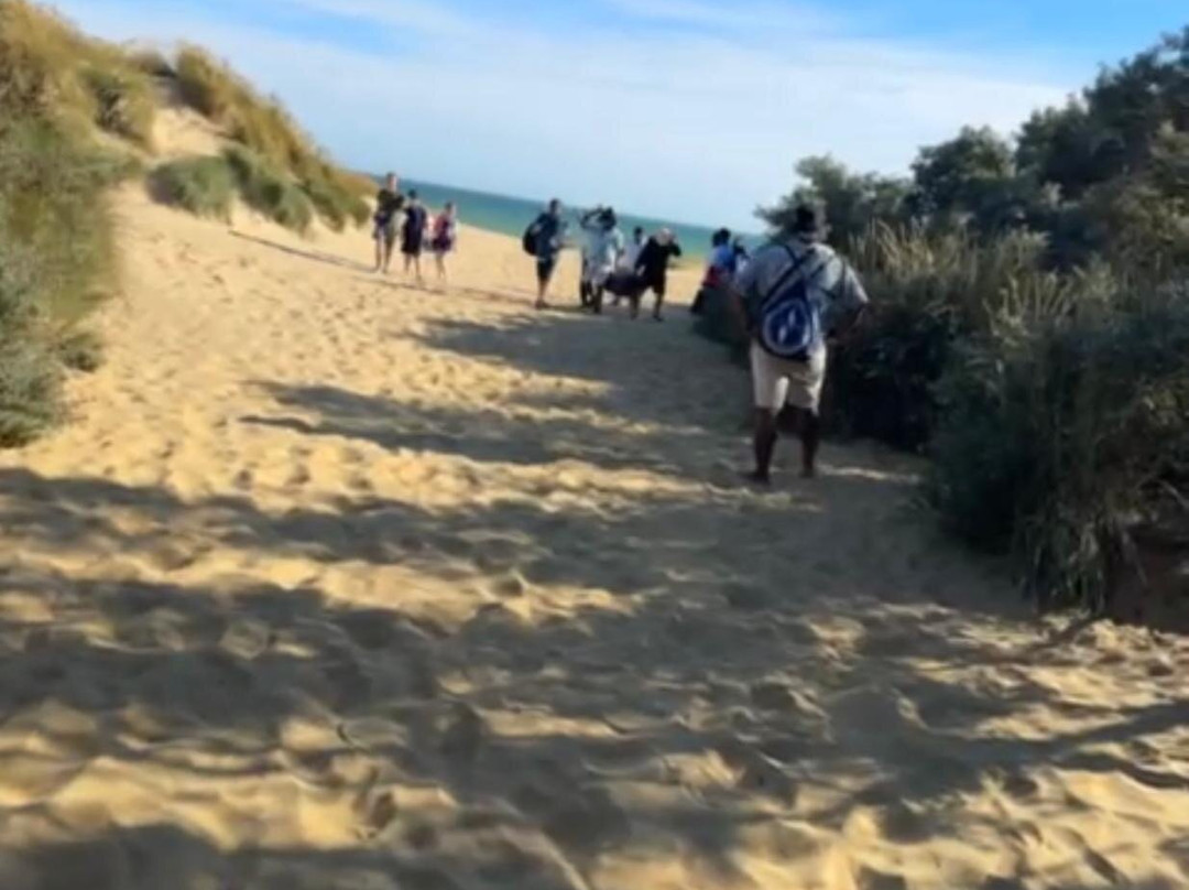 Camber Sands-Camber必去景点