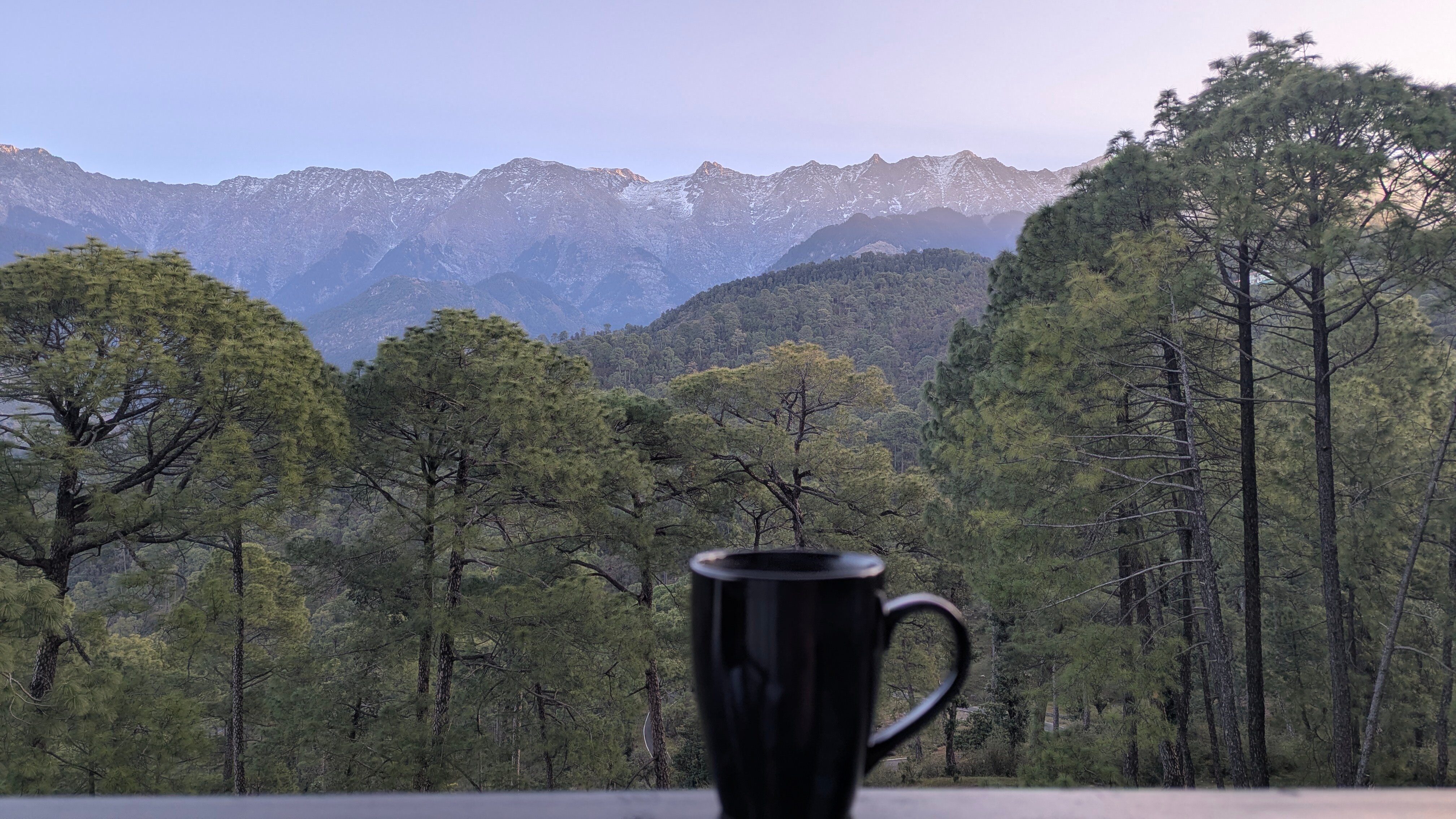 Lemon Tree Hotel Mcleodganj-酒店景观