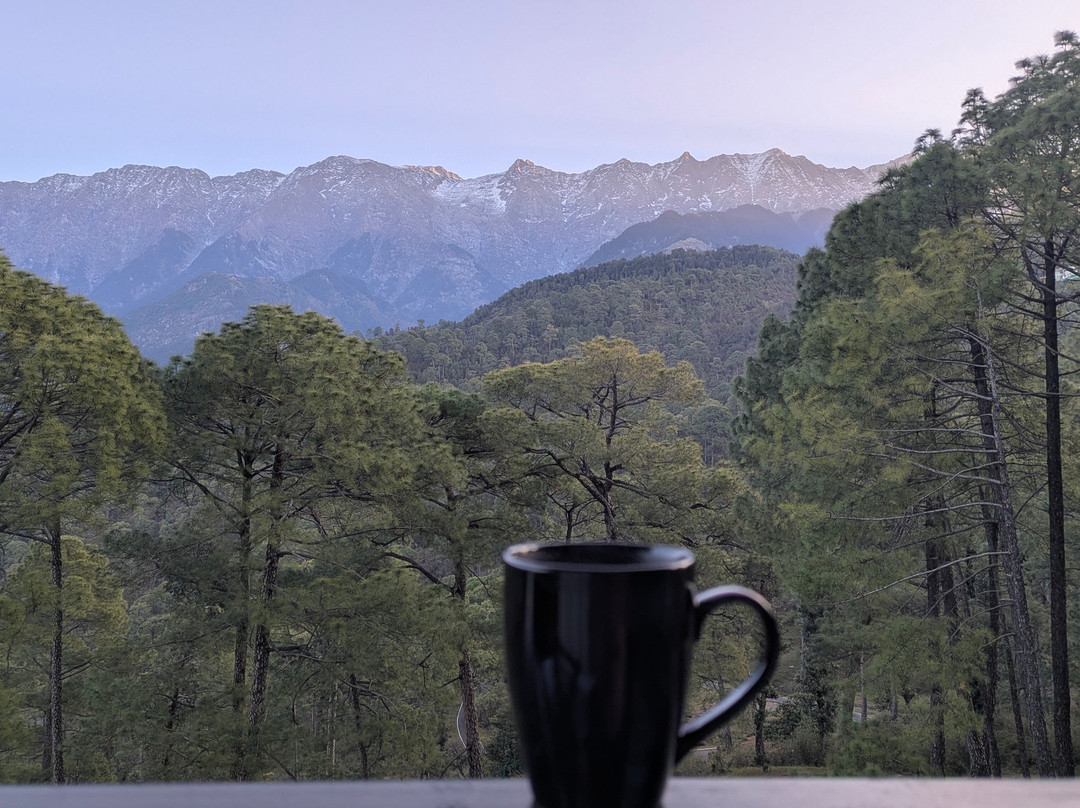 Lemon Tree Hotel Mcleodganj主图