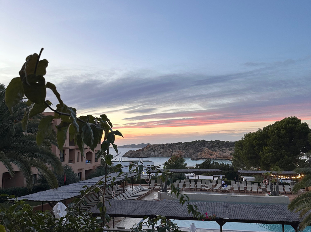 Insotel Club Tarida Playa主图