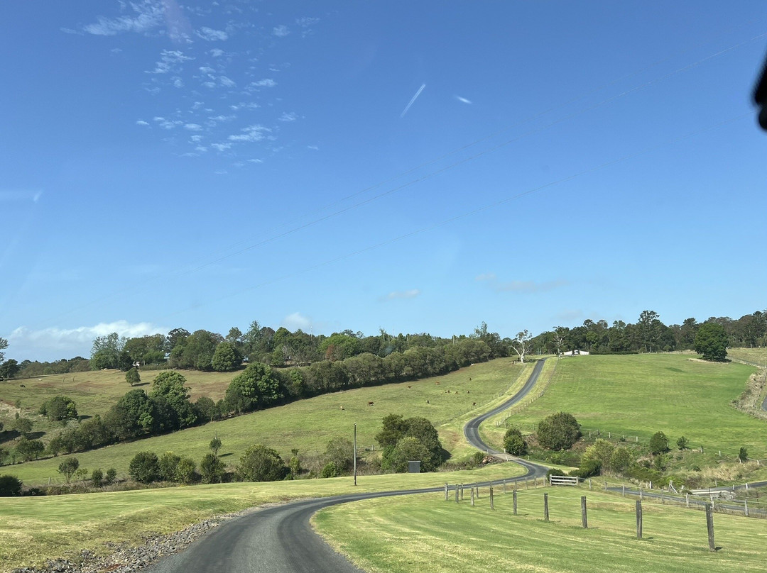 Beechmont Estate主图