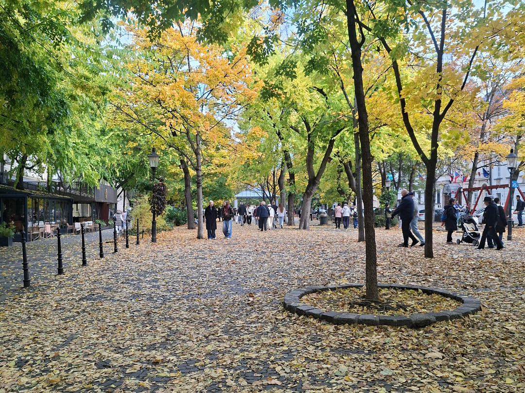 Pamätník Hansa Christiana Andersena-布拉迪斯拉发必去景点