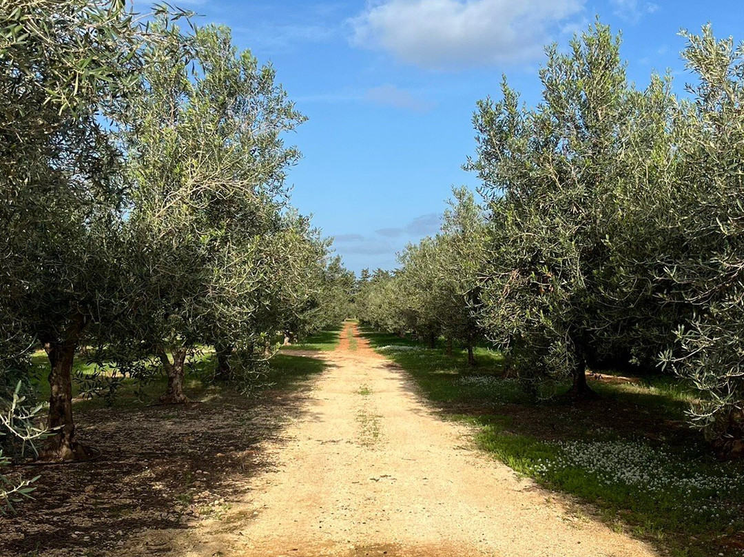 Baglio Custera主图