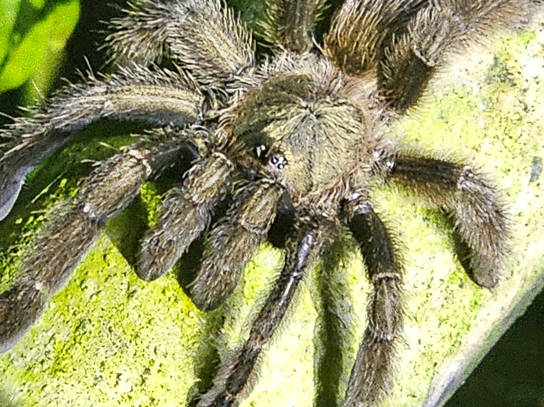 Jungle Night Walk-卡维塔必去景点