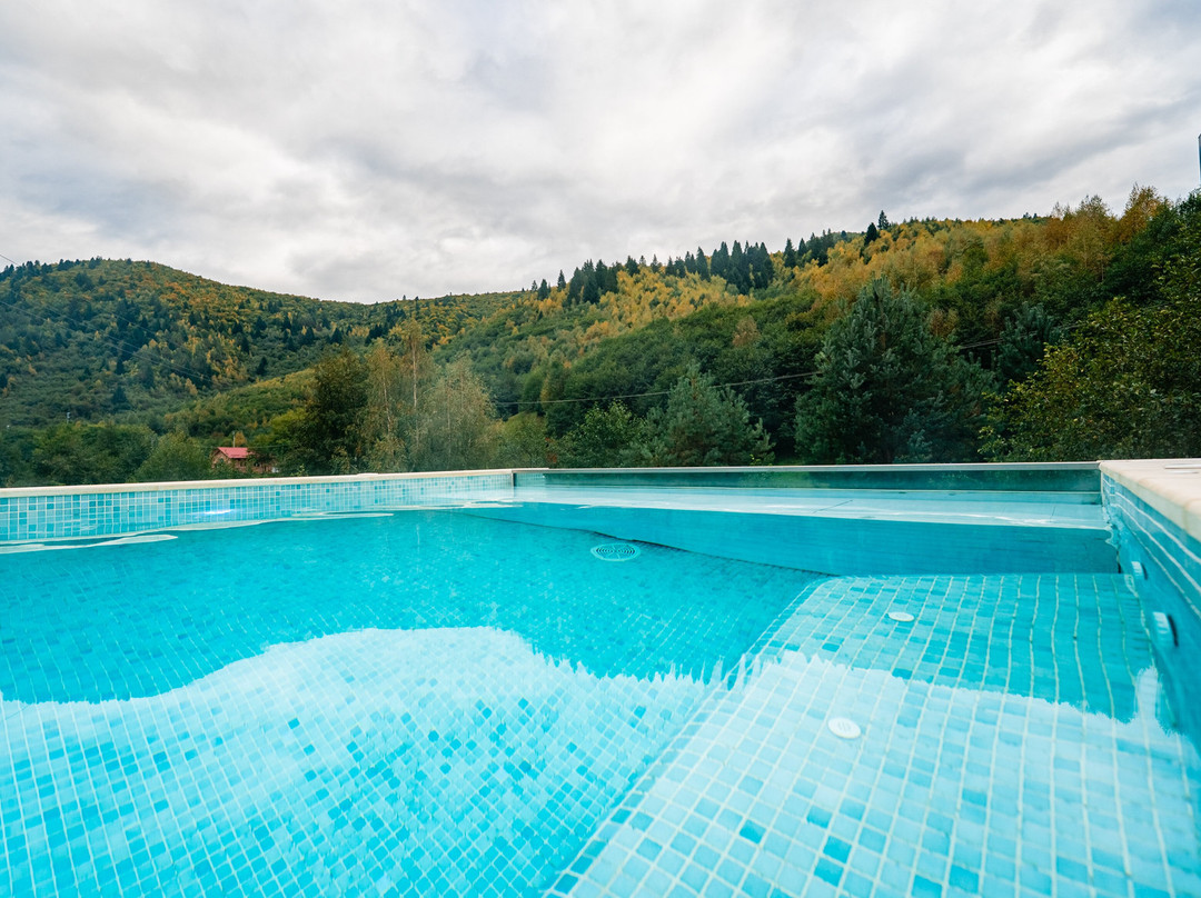 Carpentiere Arena主图