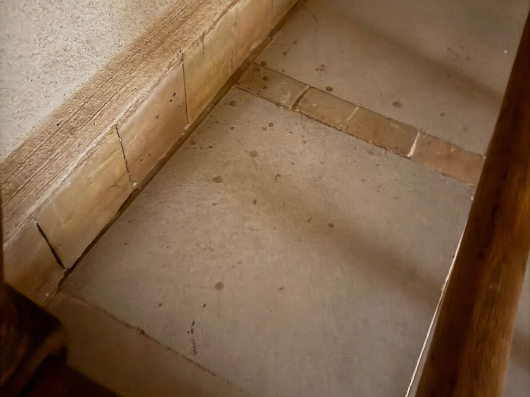 Kasbah Bab Ourika主图