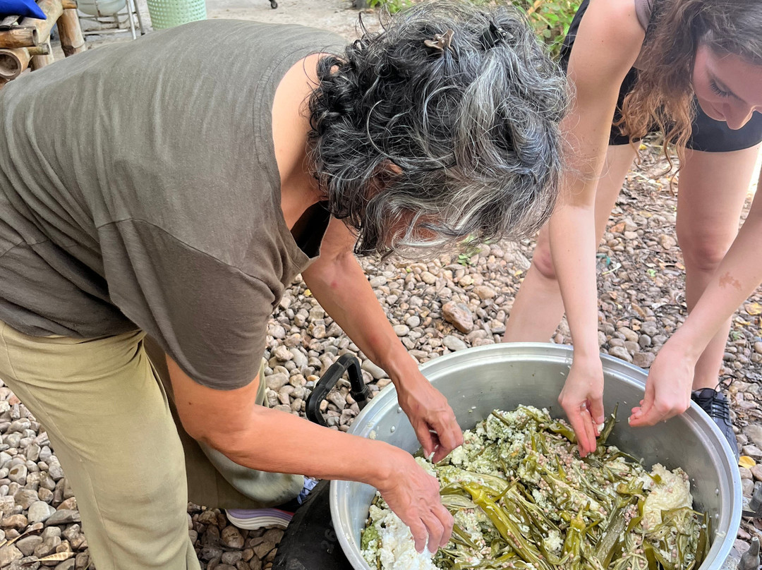 Somboon Legacy Foundation-Klon Do必去景点