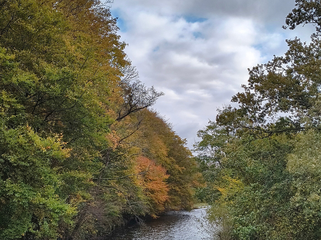 Dalquharran Castle-Girvan必去景点