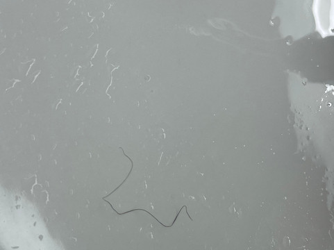 小石城中城福朋喜来登酒店主图