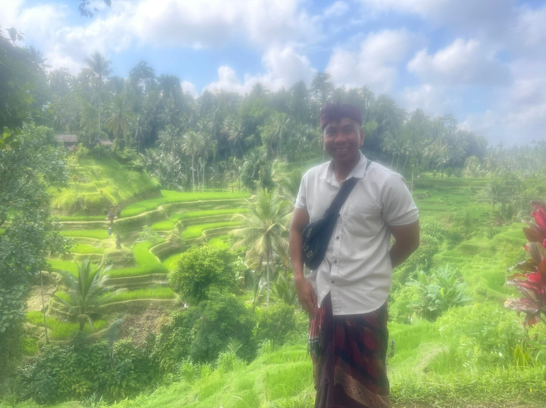 Bali Culture Tours-吉安雅必去景点