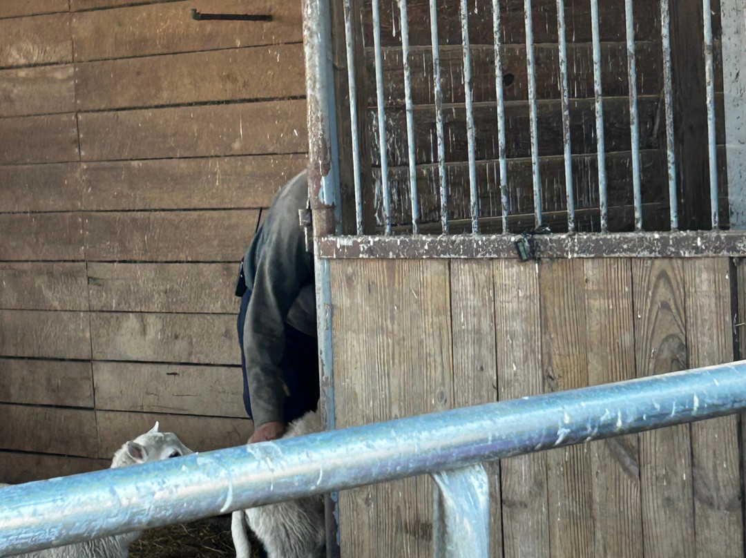 Idle-Hour Ranch-Troy必去景点