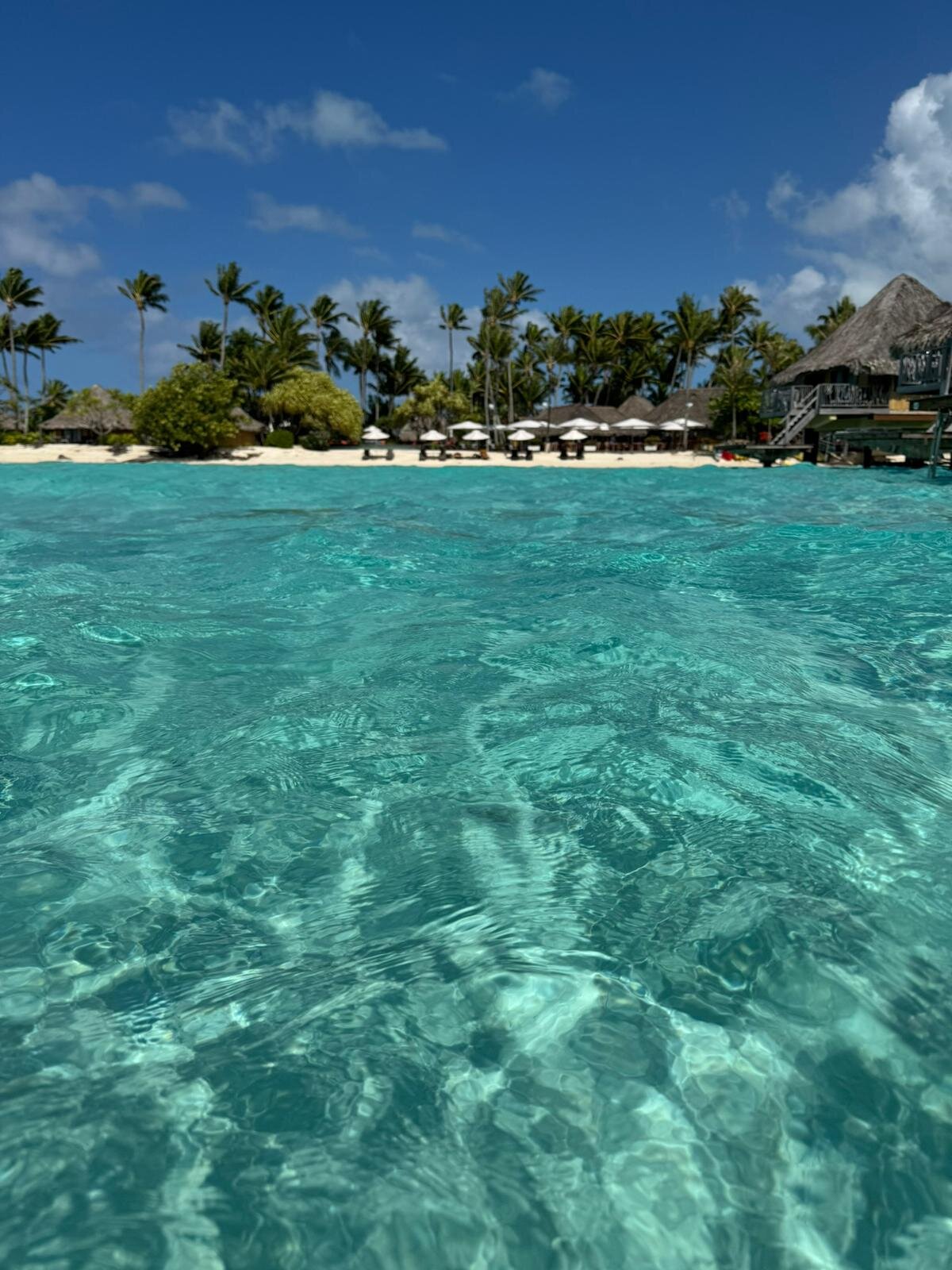 洲际度假酒店-泳池