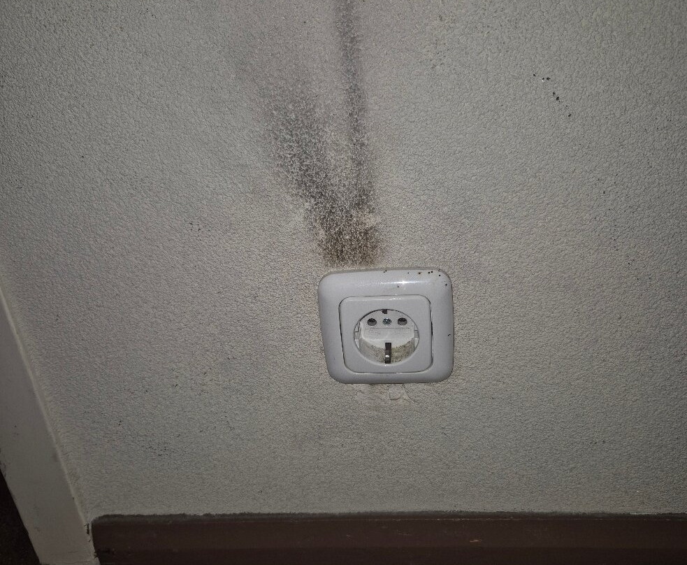 威廉明娜酒店主图