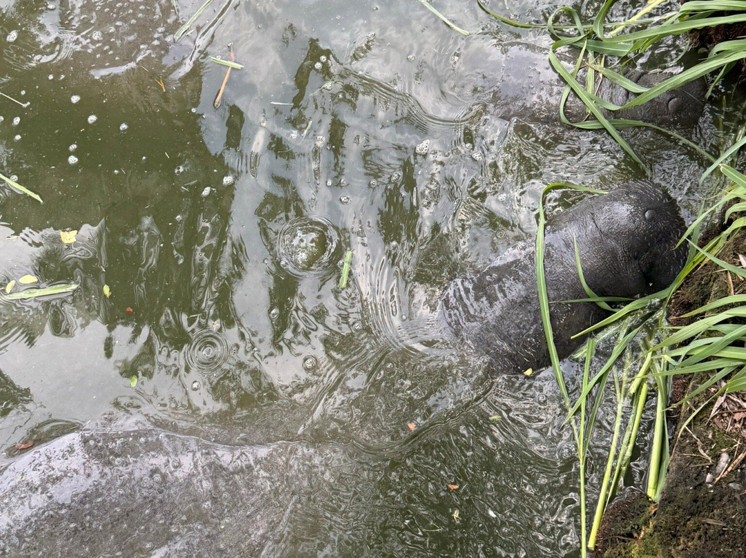 Guyana National Park-乔治城必去景点