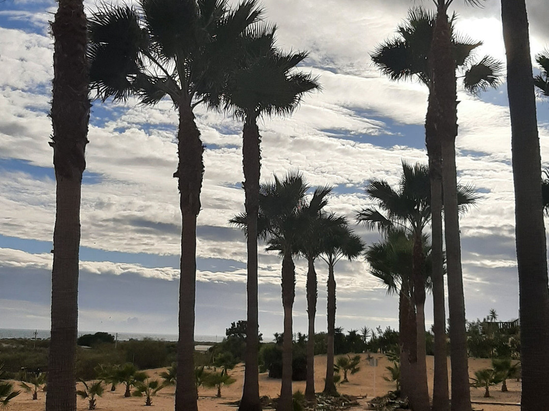 Praia Da Lota Resort Apartments主图