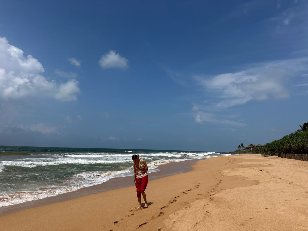 Arcade Beach Hotel主图