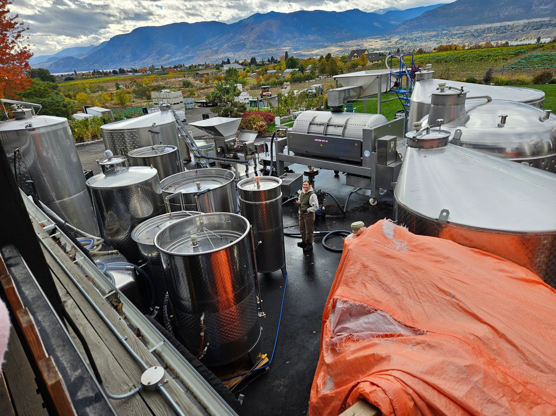 Da Silva Vineyards & Winery-彭蒂克顿必去景点