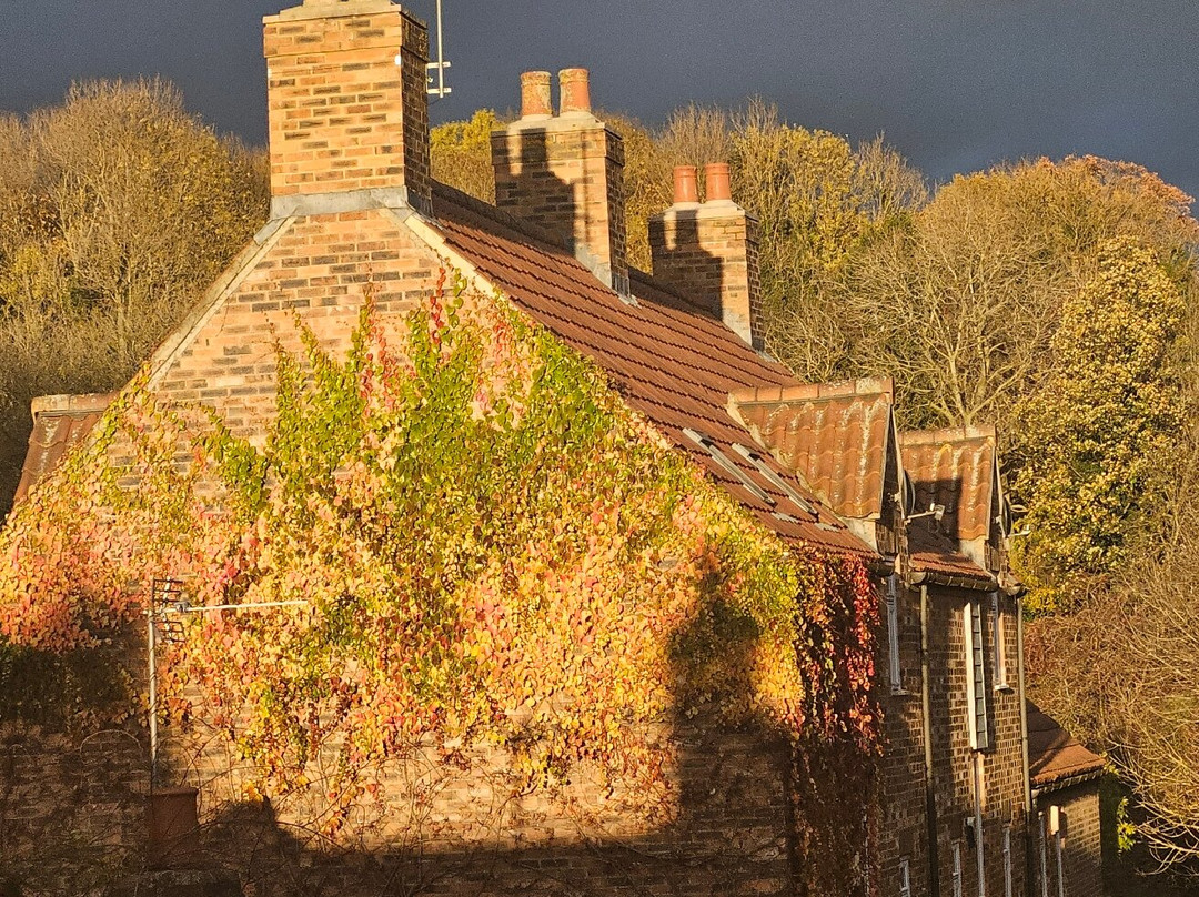 Yarm Guest House主图