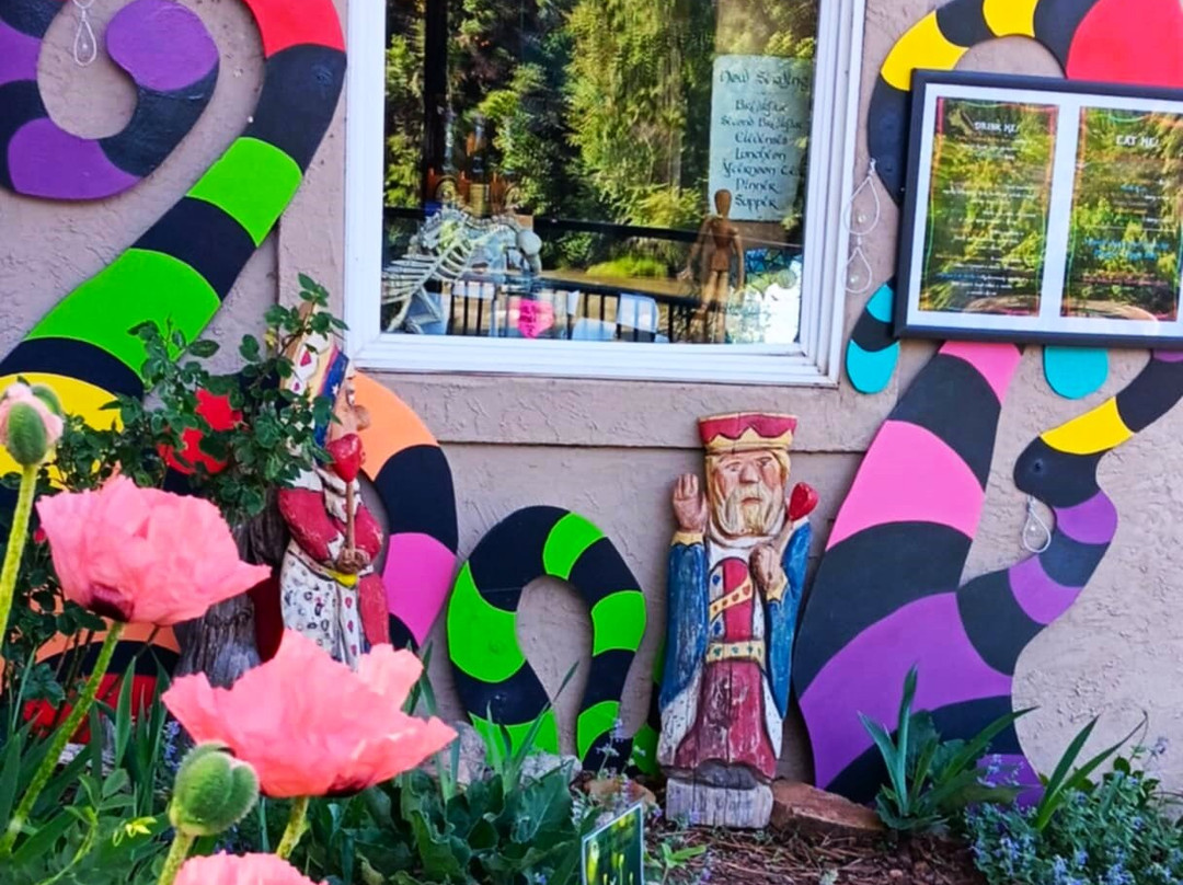 White Rabbit Books and Curiosities-杜兰戈必去景点