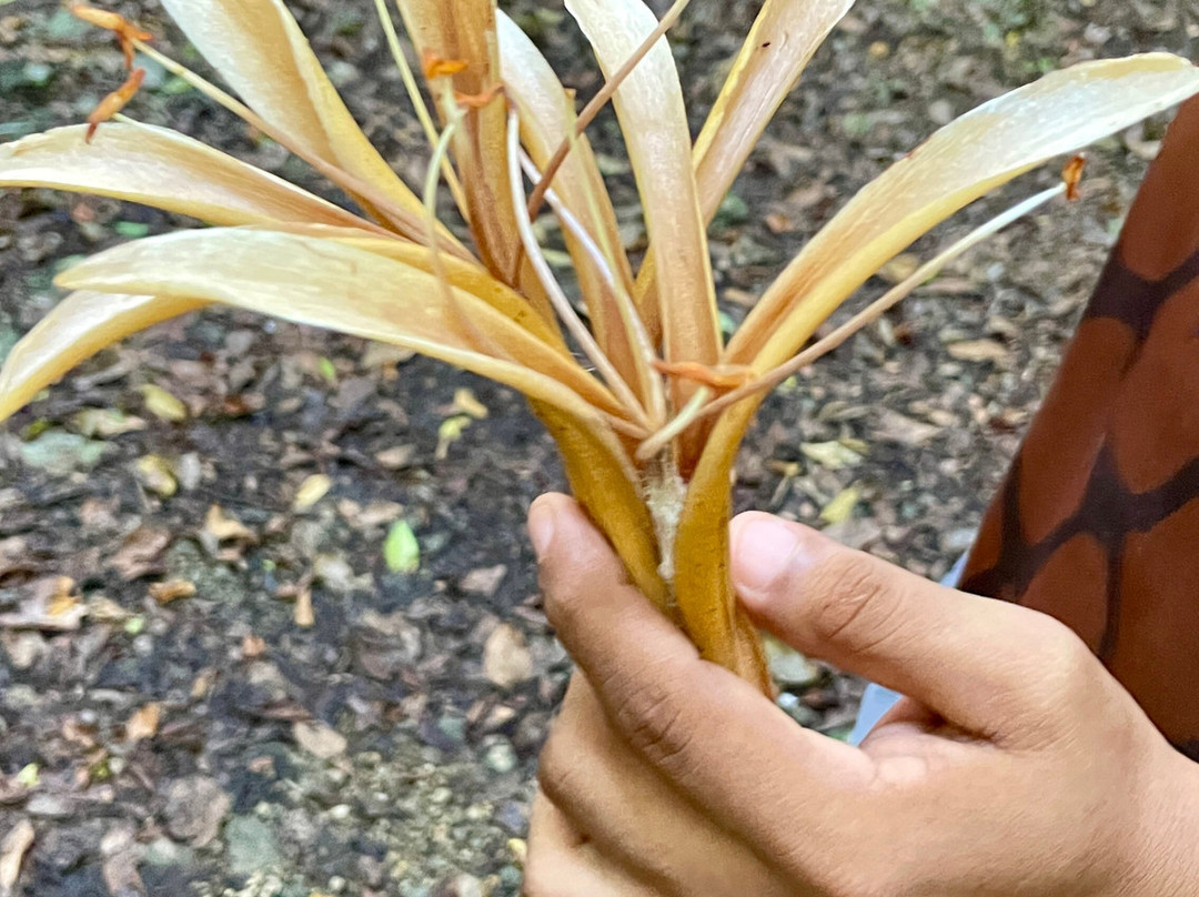 Báalam Nah; Experiencias de Aventura.-Felipe Carrillo Puerto必去景点