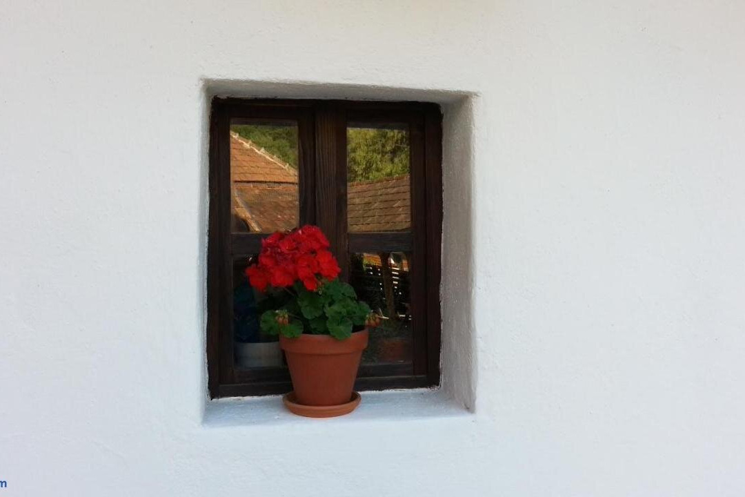 Zempleni Pitvaros Piheno主图