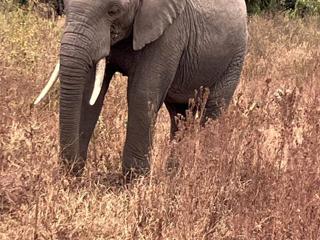 Mamasavana-马林地必去景点
