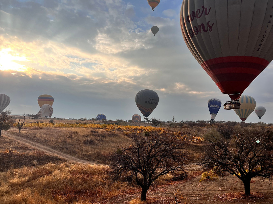 Discovery Balloons-格雷梅必去景点