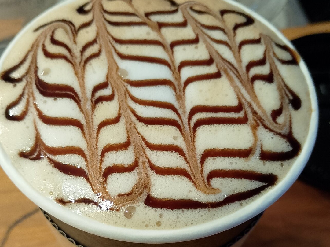 BlackBucks Patagonia