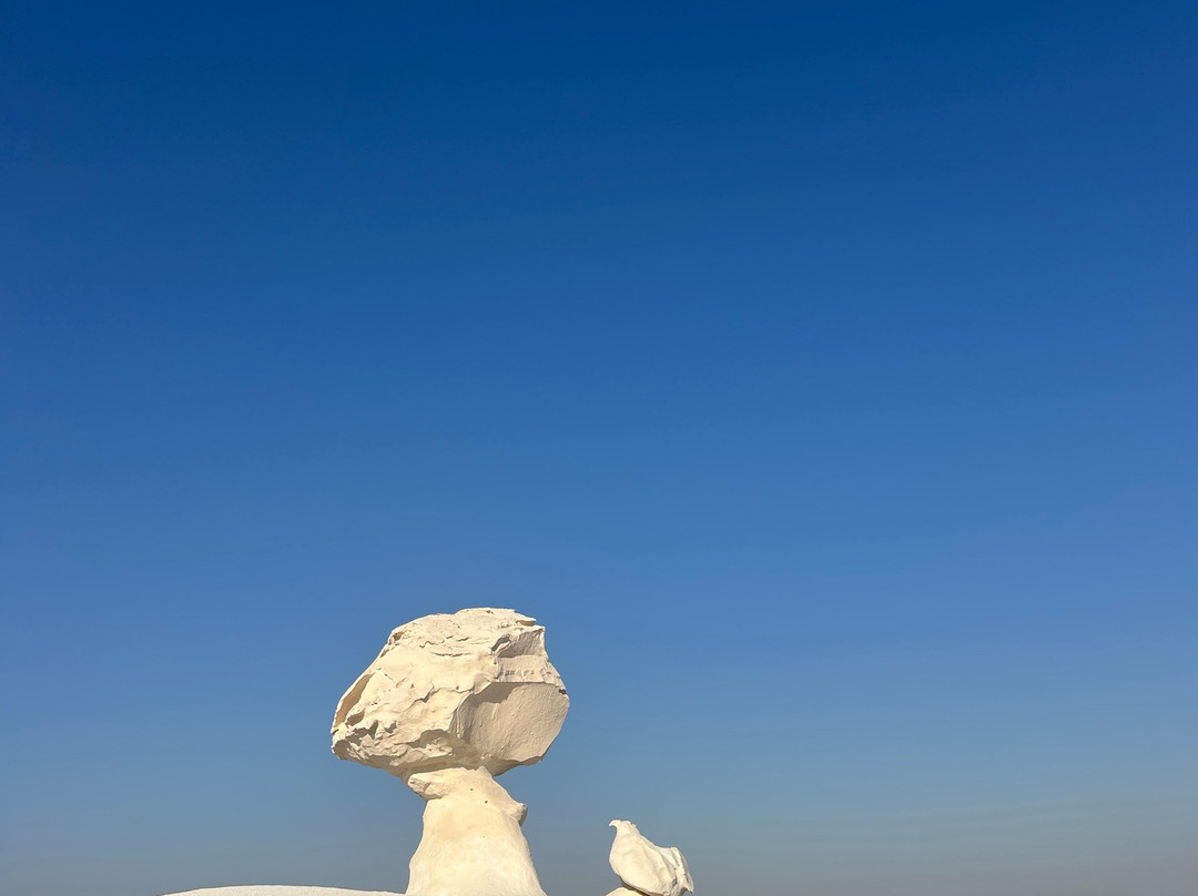 Bahariya Oasis Desert-Bahariya Oasis必去景点