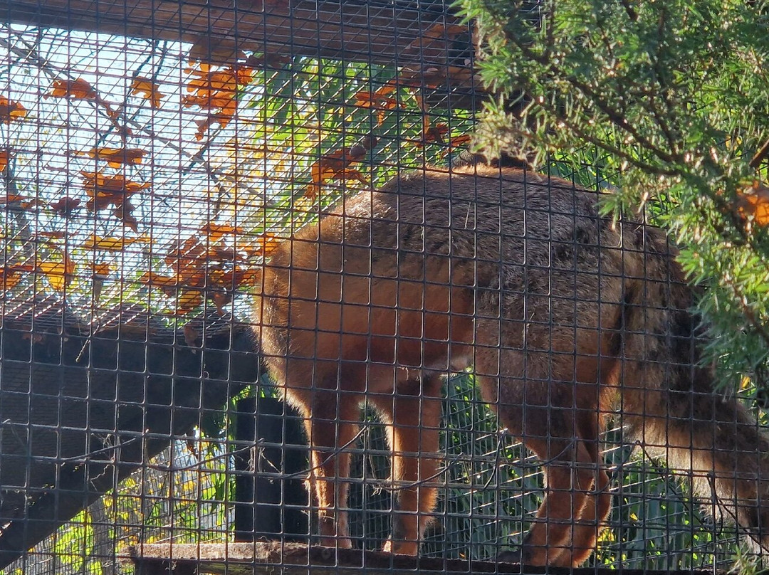 Chisinau Zoo-基希讷乌必去景点