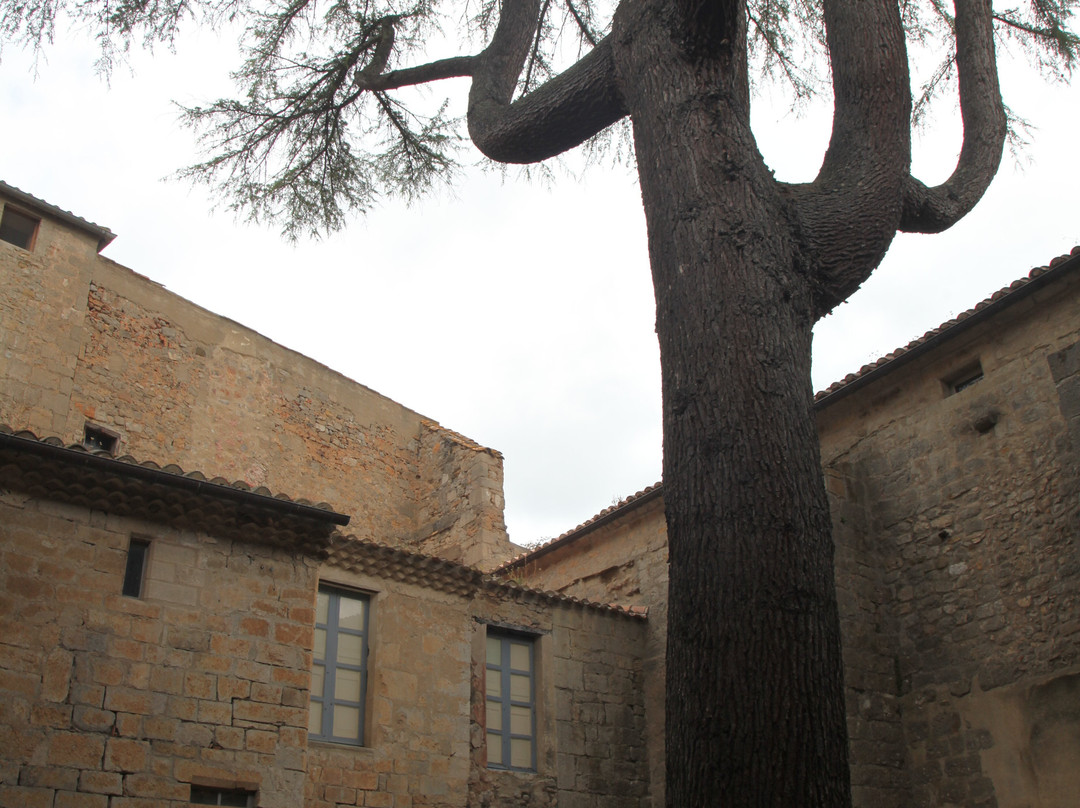 Abbaye Médiévale De Lagrasse, Centre Culturel Les Arts De Lire-Lagrasse必去景点