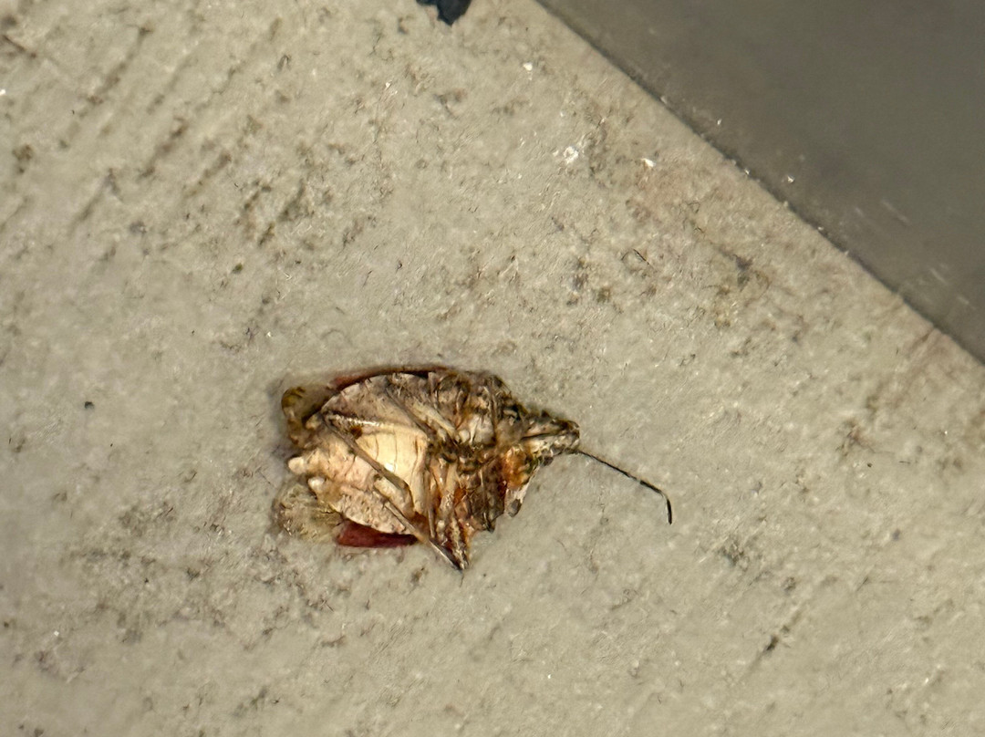 Hampton Inn Stroudsburg/poconos主图