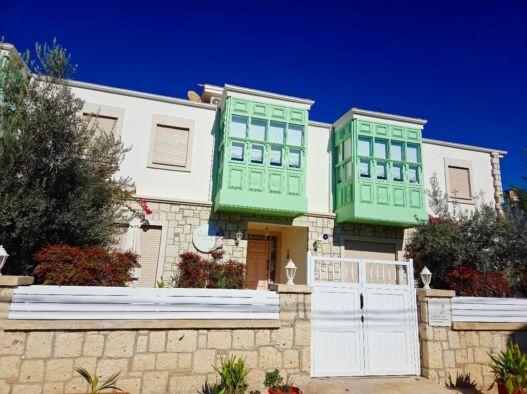 Çiğdem'inn Sığacık (Cigdem'inn Sigacik)主图