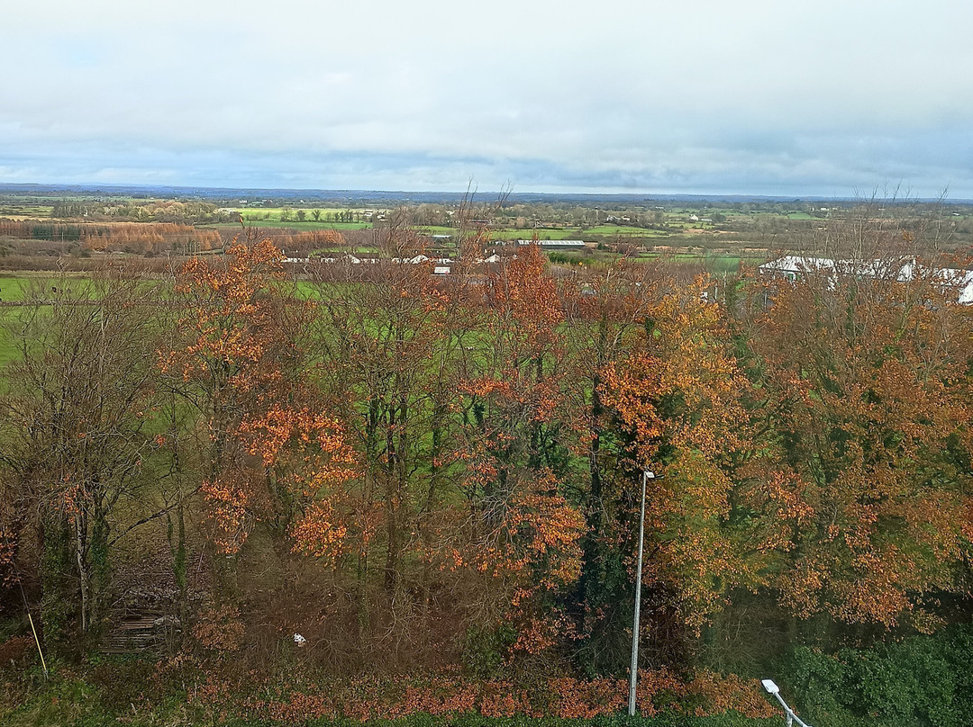 Lough Rea Hotel & Spa主图