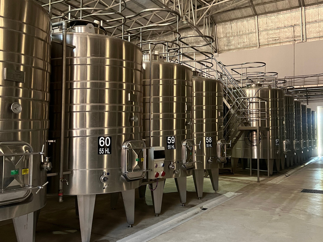 Viñas En Flor Bodega-卡法亚特必去景点