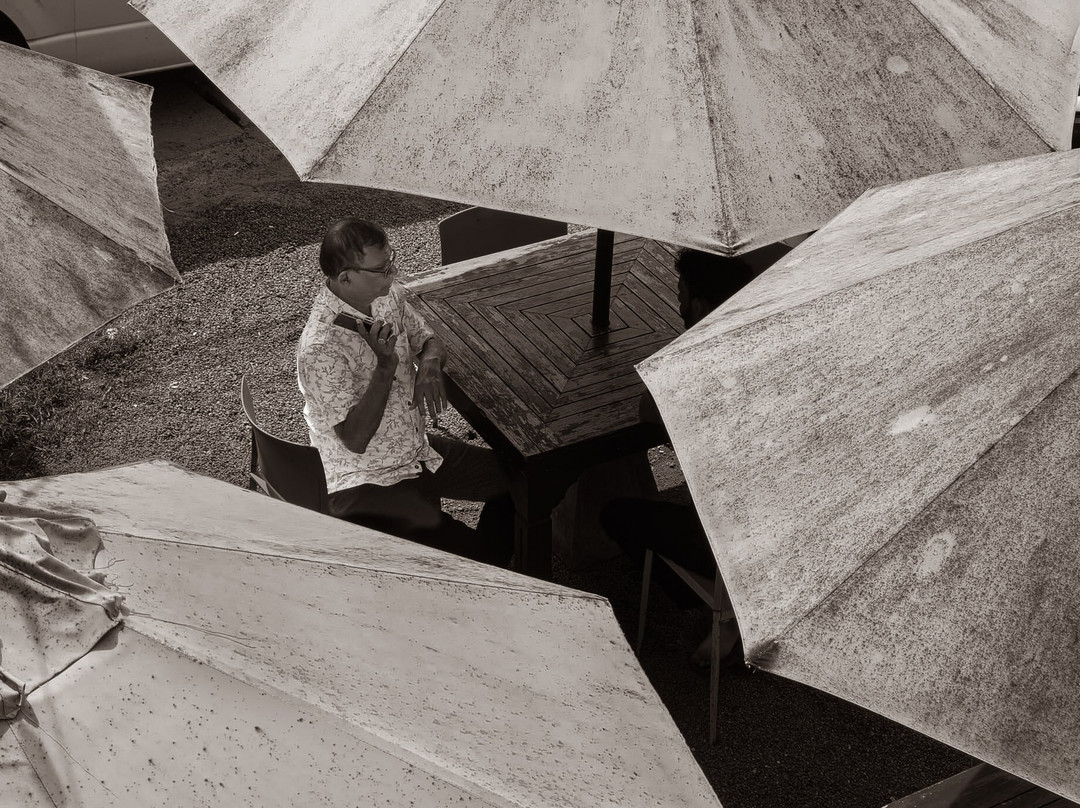 Harrysuni Tours-尼甘布必去景点