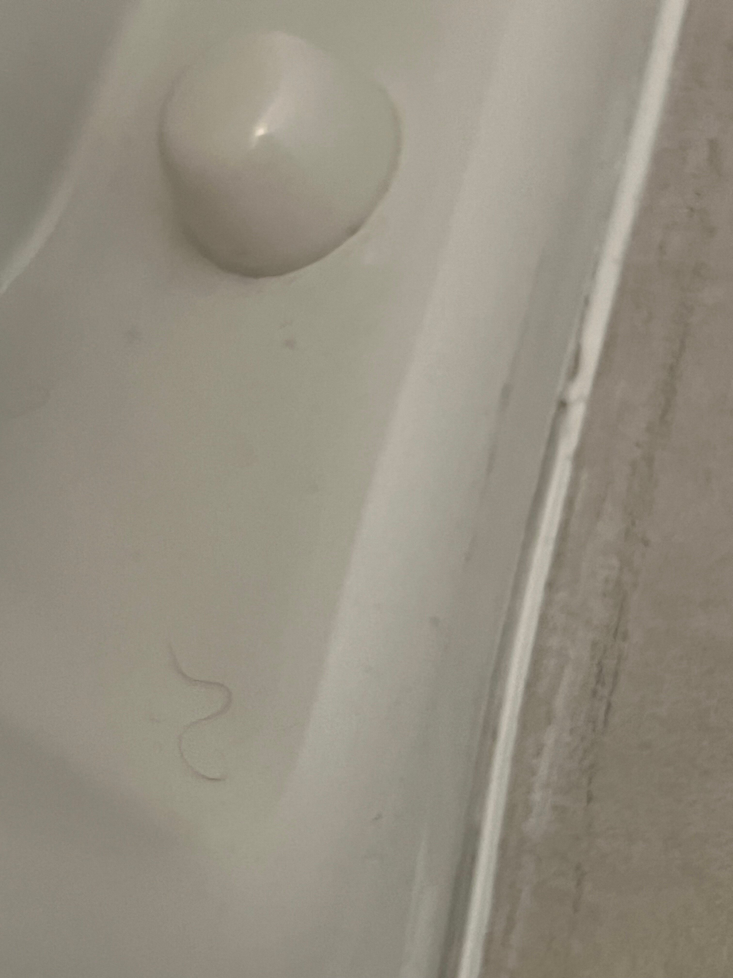 Holiday Inn Express & Suites Salem By IHG-官方