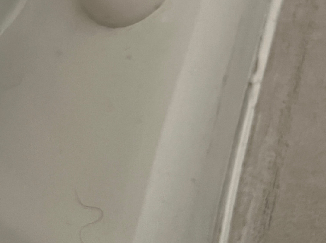 Holiday Inn Express & Suites Salem By IHG主图