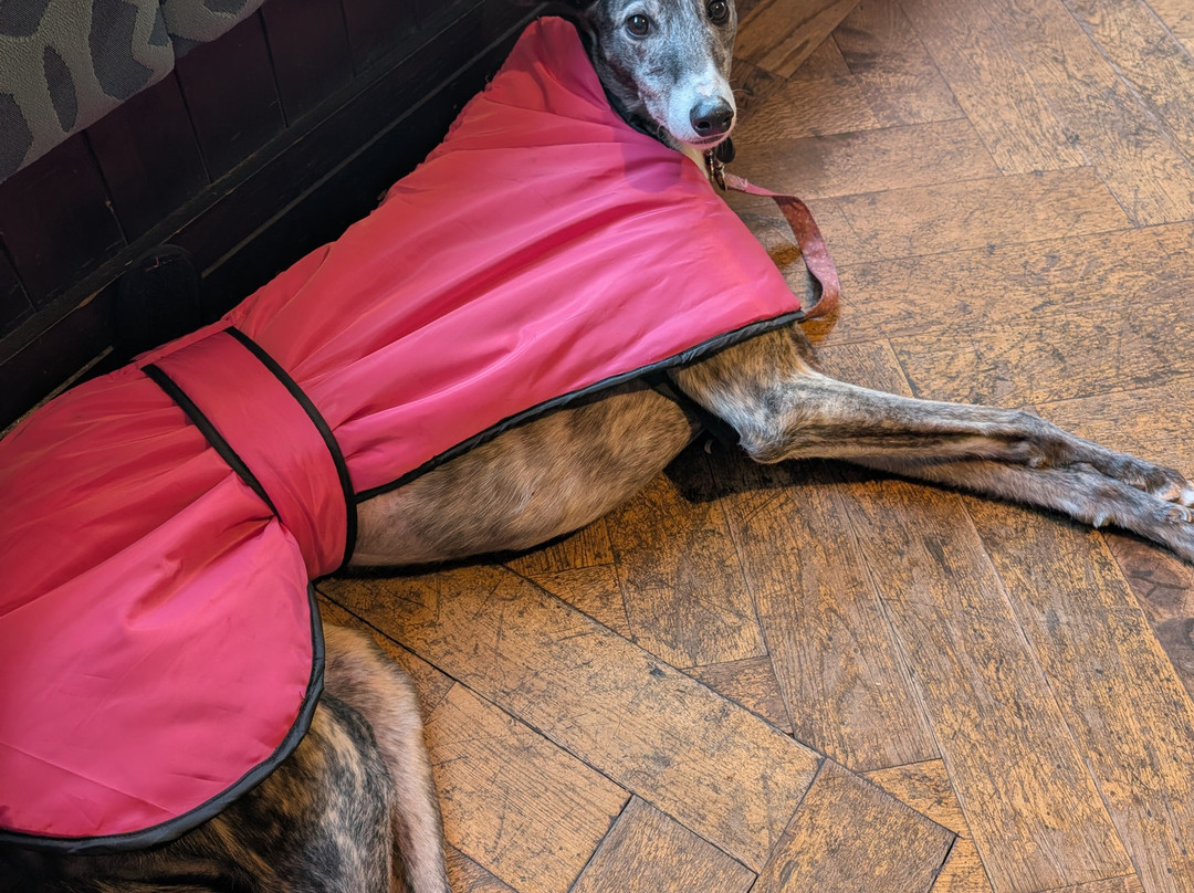 Luna Blu Cocktails & Tapas-Yarm必去景点