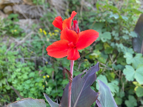 MBtours-马德拉群岛必去景点