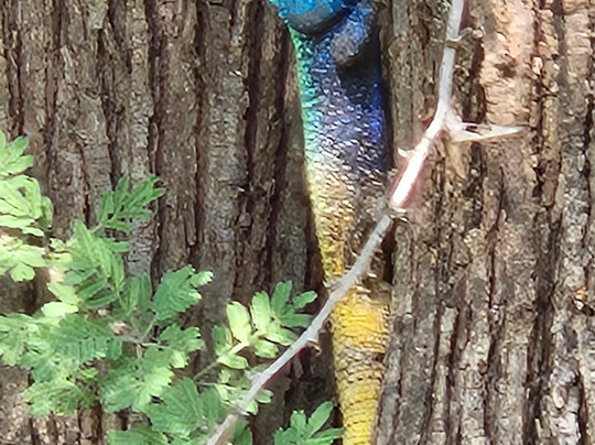 Amatungulu Tours-比勒陀利亚必去景点