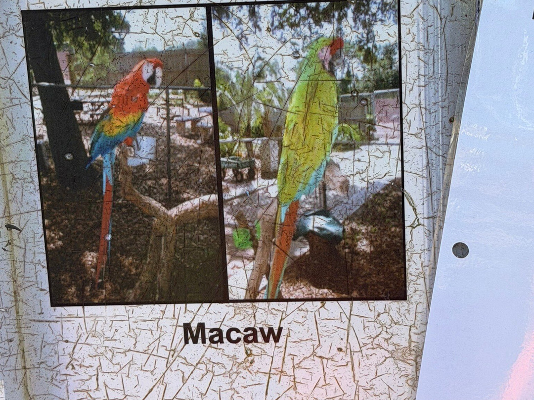 Suncoast Primate Sanctuary-帕姆港必去景点